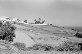 Málaga. Jardines del chalet en Maro de Doña María Pilar Pries, la Marquesa de Larios. Junio de 1963