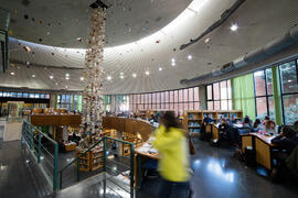 Biblioteca General con la instalación "Biblioteca de Babel XIII", de José Ignacio Díaz de Rábago. Campus de Teatinos. Enero de 2018