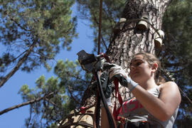 Actividad en Aventura Amazonia Marbella. Olimpiada Española de Economía, Fase Nacional. Marbella. Junio de 2015