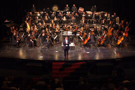 Gala Inaugural de la XXIII edición de Fancine. Teatro Cervantes. Noviembre de 2013