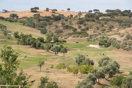 Campeonato Europeo de Golf Universitario. Antequera. Junio de 2019