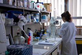 Laboratorio de Ciencias. Mayo de 2013