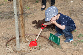 Niño graduado de la Escuela Infantil incorpora su árbol al Bosque del Conocimiento. Campus de Teatinos. Mayo 2015