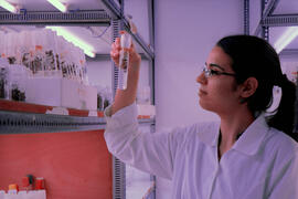 Laboratorio de Ciencias. Mayo de 2013