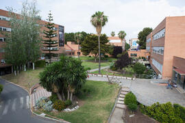 Facultad de Ciencias Económicas y Empresariales. Campus de El Ejido. Mayo de 2015
