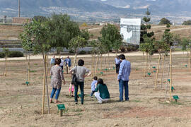Incorporación de nuevos árboles al Bosque del Conocimiento. Campus de Teatinos. Mayo 2015