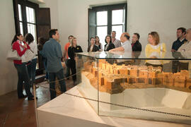 Visita anual de la conferencia de la RedOTRI en el centro histórico de Málaga. Junio de 2010