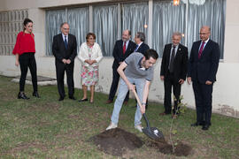 Presentación del árbol de Hipócrates donado por la isla de Kos. Facultad de Medicina. Octubre de 2017