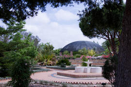 Jardín Botánico. Campus de Teatinos. Mayo de 2013