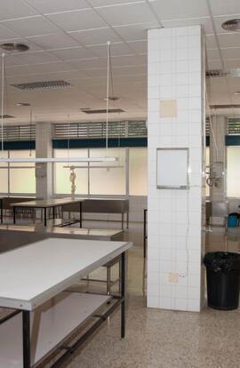 Aulas de la Facultad de Medicina. Julio de 2006