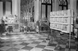 Jaulas del concurso de canaricultura en el Salón de los Espejos del Ayuntamiento de Málaga. Enero de 1963