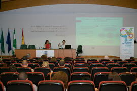 Taller «La intervención social en la consolidación del Sistema de Servicios Sociales». Curso "Los servicios sociales como cuarto pilar del bienestar social". Cursos de Verano de la Universidad de Málaga. Vélez-Málaga. Julio de 2019