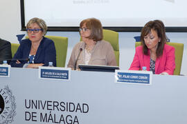 Presentación de los cursos de verano de la Universidad de Málaga. Rectorado. Mayo de 2014