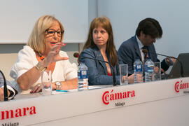 Intervención de Adelaida de la Calle en la mesa redonda "Economía Circular en la Industria". Curso "Principios de la Economía Circular". Cursos de Verano de la Universidad de Málaga. Málaga. Julio de 2018