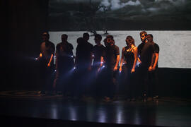Gala inaugural de la XXV edición de Fancine de la Universidad de Málaga. Teatro Cervantes. Noviembre de 2015