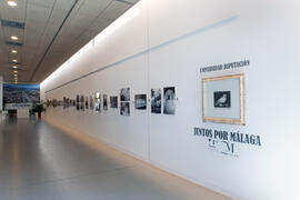 Exposición "Universidad-Diputación. Juntos por Málaga". Sala de exposiciones de la Diputación Provincial. Septiembre de 2013